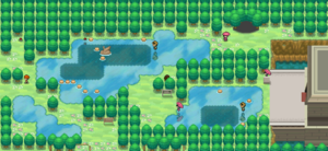 Route 8 N2B2.png