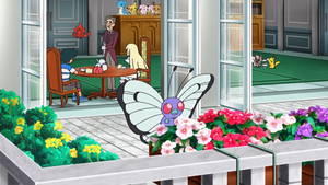 SL027 - Papilusion.png