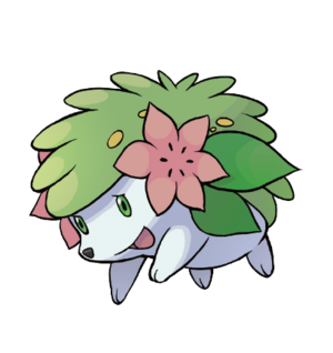 Shaymin-t-20ans.png