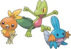 Starters de Hoenn.jpeg