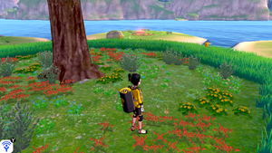 Taupiqueur d'Alola Îlot Calméole 10 EB.png