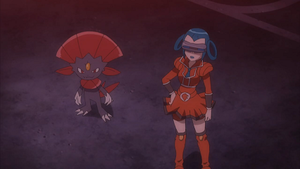XY134 - Dimoret de Myosotis.png