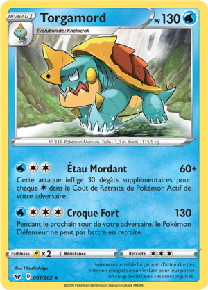 Carte Épée et Bouclier 061.png