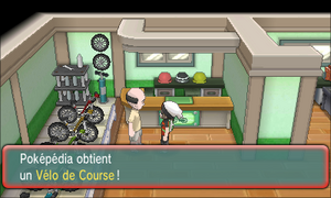Lavandia Vélo de Course ROSA.png