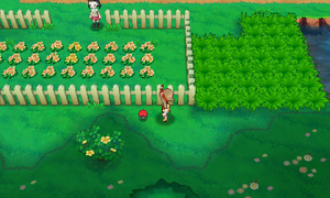 Route 117 Super Ball ROSA.png