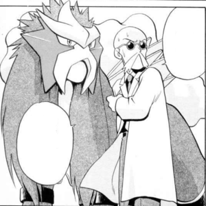 Entei d'Auguste (Pocket Monsters Special).png