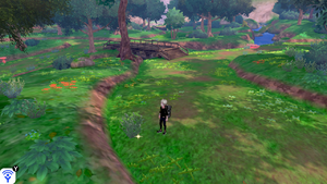 Forêt Flexion Objet Caché 6 EB.png