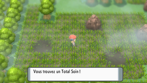 Grand Marais Total Soin DEPS.png