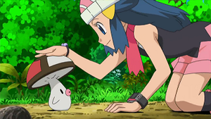 NB087 - Trompignon.png