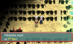 Site Météore PP Max 2 ROSA.png