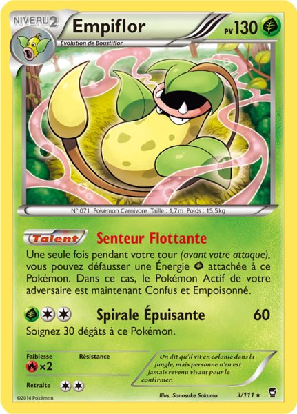 Fichier:Carte XY Poings Furieux 3.png