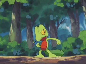 AG037 - Arcko de Sacha.png