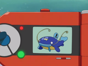 AG075 - Barbicha Pokédex.png
