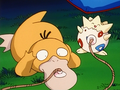 Psykokwak (d'Ondine) et Togepi (d'Ondine)