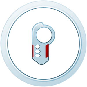 Médaille Kanto Argent - GO.png