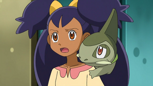 NB068 - Coupenotte d'Iris.png