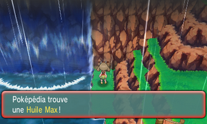 Route 119 Huile Max ROSA.png