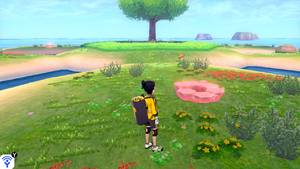 Taupiqueur d'Alola Îlot Calméole 5 EB.png