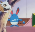 Osselait et Azumarill (du père de Tewattoss)