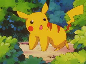 EP237 - Pikachu de Sacha.png