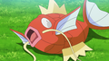 Magicarpe (de Goh)