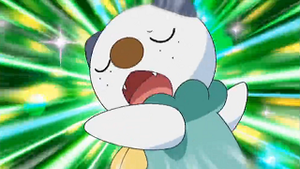 NB013 - Moustillon de Sacha.png