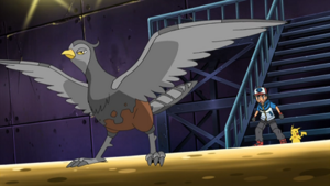 NB083 - Déflaisan de Sacha.png