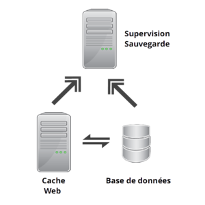 Poképédia-Gandi 2009-2014 1.png