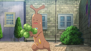 Simularbre de Callahan.png