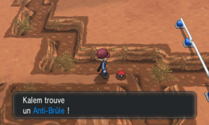 Route 13 Anti-Brûle XY.png