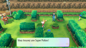 Route 25 Super Potion LGPE.png