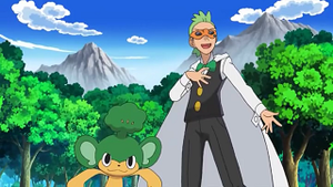 NB038 - Feuillajou de Rachid.png