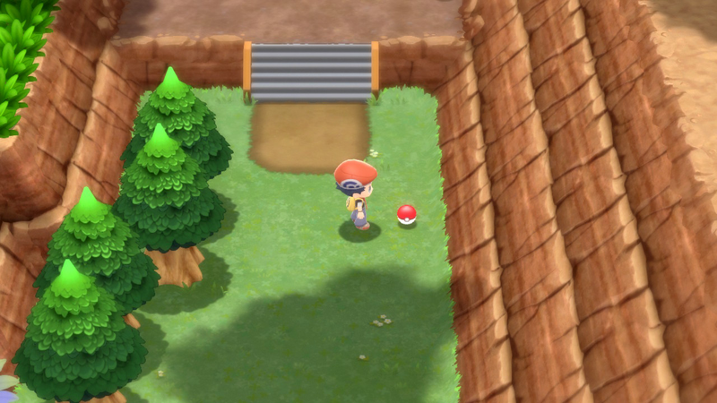Fichier:Route 205 Super Potion DEPS.png