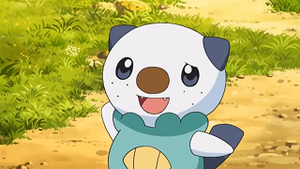 NB031 - Moustillon de Sacha.png