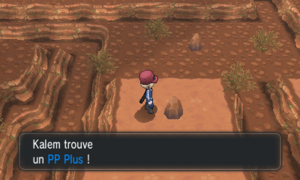 Route 13 PP Plus XY.png