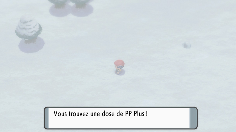 Fichier:Route 217 PP Plus DEPS.png