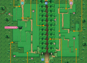 Route 6 carte XY.png