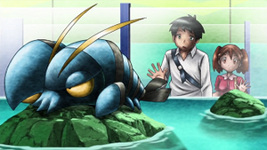XY022 - Flingouste (Flash-back).png