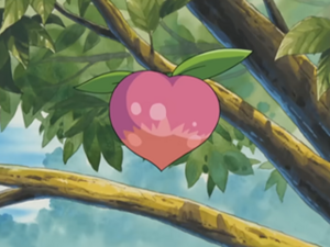 AG024 - Baie Pêcha.png