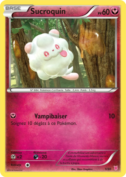 Fichier:Carte XY Kit du Dresseur Grodoudou 1.png