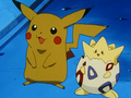 Pikachu (de Sacha) et Togepi (d'Ondine)