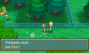 Route 121 Perle ROSA.png