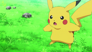 XY033 - Pikachu de Sacha.png