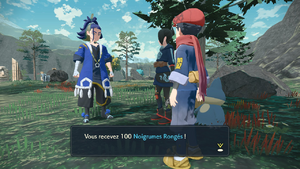 Bivouac Contrefort Noigrume Rongé LPA.png
