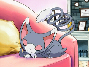 DP002 - Chaglam de Johanna.png