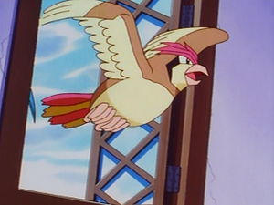 EP037 - Roucoups de Sacha.png