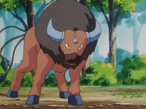 EP166 - Tauros d'un Dresseur.png