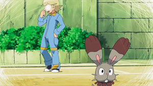 XY140 - Sapereau de Lem (Flash-back).png