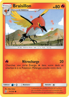 Braisillon (Soleil et Lune Harmonie des Esprits 31)