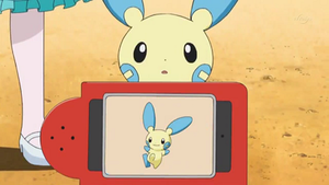 DP161 - Négapi Pokédex.png